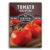 Survival Garden Seeds - Beefsteak Tomato Seed for Planting - Packet with Instructions to Plant and Grow Delicious Tomatoes in Your Home Vegetable Garden - Non-GMO Heirloom Variety - 1 Pack Photo, bestseller 2024-2023 new, best price $4.99 review