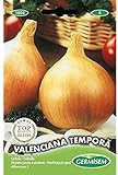 Germisem Valenciana Tempora Semillas de Cebolla 3 g Foto, éxito de ventas 2024-2023 nuevo, mejor precio 2,70 € revisión