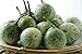 Photo Thai Round Green Eggplant Seeds (50 Seed Pack) new bestseller 2024-2023