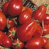 Shop Meeko Tomate - San Marzano - 75 graines Photo, best-seller 2024-2023 nouveau, meilleur prix 4,59 € examen