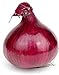 Photo Red Grano Onion Seeds, 300 Heirloom Seeds Per Packet, (Short Day) Non GMO Seeds, Botanical Name: Allium cepa, Isla's Garden Seeds new bestseller 2023-2022