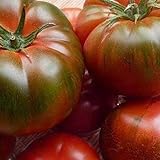 Tomate Muchamiel 25 x Samen aus Portugal 100% natürlich Aufzucht/absolute Rarität/Massenträger (Muchamiel) Foto, Bestseller 2024-2023 neu, bester Preis 2,99 € Rezension
