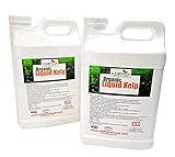 Kelp Fertilizer by GS Plant Foods (5 Gallon) - Organic Liquid Fertilizer for Gardens, Lawns & Soil - Liquid Kelp Concentrate Photo, bestseller 2024-2023 new, best price $149.95 review