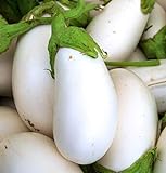 David's Garden Seeds Eggplant White Star (White) 25 Non-GMO, Hybrid Seeds Photo, bestseller 2024-2023 new, best price $3.45 review
