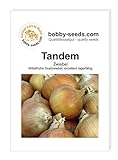 Zwiebelsamen Tandem Portion Foto, Bestseller 2024-2023 neu, bester Preis 1,95 € Rezension