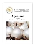 Zwiebelsamen Agostana Portion Foto, Bestseller 2024-2023 neu, bester Preis 1,35 € Rezension