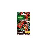 Vilmorin - Sachet graines Tomate Harmony HF1 Photo, best-seller 2024-2023 nouveau, meilleur prix 7,75 € examen