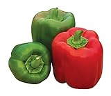 Burpee 'Sweet Candy Apple' Hybrid | Bell Pepper Photo, bestseller 2024-2023 new, best price $8.38 ($0.28 / Count) review
