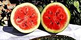 25 Moon and Star Watermelon Seeds | Non-GMO | Heirloom | Instant Latch Garden Seeds Photo, bestseller 2024-2023 new, best price $7.95 review