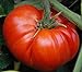 Foto 50 piezas de semillas de tomate reliquia de jardín que crece grandes frutos rojos regordetes variedades exóticas de verduras nuevo éxito de ventas 2024-2023