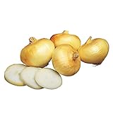 Burpee Granex Yellow Onion Seeds 450 seeds Photo, bestseller 2024-2023 new, best price $6.57 review