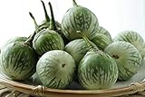 Thai Round Green Eggplant Seeds (25+ Seeds)(More Heirloom, Organic, Non GMO, Vegetable, Fruit, Herb, Flower Garden Seeds (25+ Seeds) at Seed King Express) Photo, bestseller 2024-2023 new, best price $4.69 review