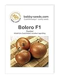 Zwiebelsamen Bolero F1 Portion Foto, Bestseller 2024-2023 neu, bester Preis 1,95 € Rezension