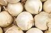 Photo 250 Early White Grano PRR Onion Seeds | Non-GMO | Heirloom | Instant Latch Garden Seeds new bestseller 2024-2023