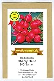 Radieschen - Cherry Belle - schnellwüchsig - früh reifend - köstlich - 200 Samen Foto, Bestseller 2024-2023 neu, bester Preis 1,95 € Rezension