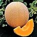 Photo Seed Kingdom Cantaloupe Hales Best Jumbo Melon Heirloom Vegetable 3,000 Seeds new bestseller 2024-2023