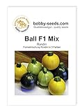 Kürbissamen Ball Mix F1 Zucchini Rondinimischung Portion Foto, Bestseller 2024-2023 neu, bester Preis 2,95 € Rezension