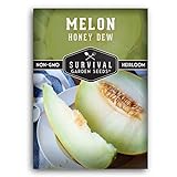 Survival Garden Seeds - Honeydew Melon Seed for Planting - Packet with Instructions to Plant and Grow Delicious Honey Dew Melons for Eating in Your Home Vegetable Garden - Non-GMO Heirloom Variety Photo, bestseller 2024-2023 new, best price $4.99 review