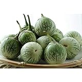 Thai Round Green Eggplant Seeds (40 Seed Pack) Photo, bestseller 2024-2023 new, best price $4.69 review