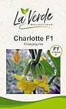 Charlotte F1 Gurkensamen Foto, Bestseller 2024-2023 neu, bester Preis 3,35 € Rezension