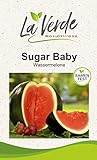 Sugar Baby Melonensamen Foto, Bestseller 2024-2023 neu, bester Preis 2,95 € Rezension
