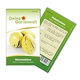 Melonenbirne Birnenmelone Pepino Samen - Solanum muricatum - Melonenbirnensamen - Obstsamen - Saatgut für 6 Pflanzen Foto, Bestseller 2024-2023 neu, bester Preis 2,69 € (0,45 € / stück) Rezension