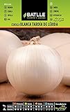Cebolla Grande tardía de LERIDA Foto, éxito de ventas 2024-2023 nuevo, mejor precio 1,60 € revisión