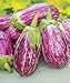 Photo Exotic Listada de Gandia Eggplant Seed for Planting | 50+ Seeds | Ships from Iowa, USA | Non-GMO Exotic Heirloom Vegetables | Great Gardening Gift new bestseller 2023-2022