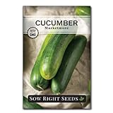 Sow Right Seeds - Marketmore Cucumber Seeds for Planting - Non-GMO Heirloom Packet with Instructions to Plant and Grow an Outdoor Home Vegetable Garden - Vigorous Productive - Wonderful Gardening Gift Photo, bestseller 2024-2023 new, best price $4.99 review