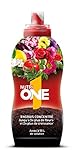NUTRIONE ONELI500 Engrais Premium Liquide Universel 500 ML Luxuriantes | pour Toutes Plantes et Fleurs, Croissance Equilibrée, 500ml Photo, best-seller 2024-2023 nouveau, meilleur prix 14,81 € (29,62 € / l) examen