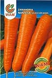 Zanahoria Nantesa WAM - Sobre de 10 gr Foto, éxito de ventas 2024-2023 nuevo, mejor precio 2,01 € revisión