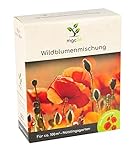 mgc24® Wildblumenmischung - Blumenmischung für nützliche Insekten ein- & mehrjährig 100g für 100m² Foto, Bestseller 2024-2023 neu, bester Preis 5,99 € (59,90 € / KG) Rezension