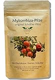 Mykorrhiza-Pilz Konzentrat für Obstbäume und Sträucher - original Schüßler-Pilze, bekannt aus Funk und Fernsehen, zur Verbesserung von Pflanzenwachstum und -Gesundheit Foto, Bestseller 2024-2023 neu, bester Preis 9,95 € Rezension