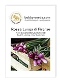 Zwiebelsamen Rossa Lunga di Firenze Lauchzwiebel Portion Foto, Bestseller 2024-2023 neu, bester Preis 1,75 € Rezension