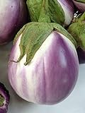 Rosa Bianca Eggplant Seeds, 100+ Heirloom Seeds Per Packet, (Isla's Garden Seeds), Non GMO Seeds, Botanical Name: Solanum melongena Photo, bestseller 2024-2023 new, best price $5.99 ($0.06 / Count) review