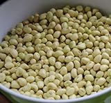 David's Garden Seeds Southern Pea (Cowpea) Texas Cream 8 4435 (Tan) 100 Non-GMO, Open Pollinated Seeds Photo, bestseller 2024-2023 new, best price $3.45 review