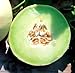 Photo Park Seed Snow Mass Honeydew Melon Seeds new bestseller 2024-2023
