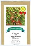 Wildtomate rot - krankheitsresistent - auch für den Kübel oder Hängeampel - 30 Samen Foto, Bestseller 2024-2023 neu, bester Preis 2,19 € (0,07 € / stück) Rezension