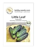 BIO-Gurkensamen Little Leaf Einlegegurke Portion Foto, Bestseller 2024-2023 neu, bester Preis 1,95 € Rezension