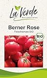 Berner Rose BIO Tomatensamen Foto, Bestseller 2024-2023 neu, bester Preis 3,25 € Rezension