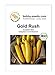 Foto Bobby-Seeds Bio-Zucchinisamen Gold Rush Portion neu Bestseller 2024-2023