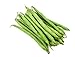 Photo Burpee Stringless Green Bean Seeds, 50 Heirloom Seeds Per Packet, Non GMO Seeds, (Isla's Garden Seeds), Botanical Name: Phaseolus vulgaris, 85% Germination Rates new bestseller 2024-2023
