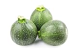 Round Zucchini Summer Squash Seeds, aka: Eight Ball Zucchini, 40 Heirloom Seeds Per Packet, Non GMO Seeds, Botanical Name: Cucurbirta pepo, Isla's Garden Seeds Photo, bestseller 2024-2023 new, best price $5.89 ($0.15 / Count) review