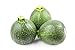 Photo Round Zucchini Summer Squash Seeds, aka: Eight Ball Zucchini, 40 Heirloom Seeds Per Packet, Non GMO Seeds, Botanical Name: Cucurbirta pepo, Isla's Garden Seeds new bestseller 2023-2022