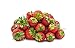 Photo Seascape Everbearing Strawberry Bare Roots Plants, 25 per Pack, Hardy Plants Non GMO new bestseller 2023-2022
