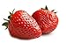 Photo MOCCUROD 150pcs Giant Strawberry Seeds Evergreening Plant Fruit Seeds Sweet and Delicious new bestseller 2024-2023
