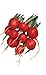Photo Burpee Cherry Belle Radish Seeds 2000 seeds new bestseller 2024-2023