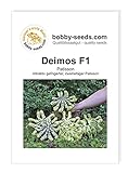 Kürbissamen Deimos F1 Portion Foto, Bestseller 2024-2023 neu, bester Preis 2,75 € Rezension