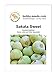 Foto Melonensamen Sakata Sweet Portion neu Bestseller 2024-2023