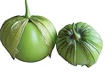 Burpee Gigante Tomatillo Seeds 160 seeds Photo, bestseller 2024-2023 new, best price $7.74 review